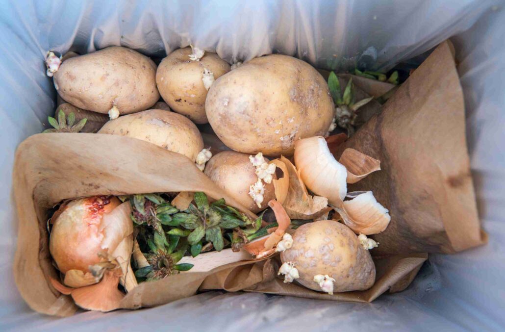 LIFESTYLE | Why is Waste Food a Big Problem?