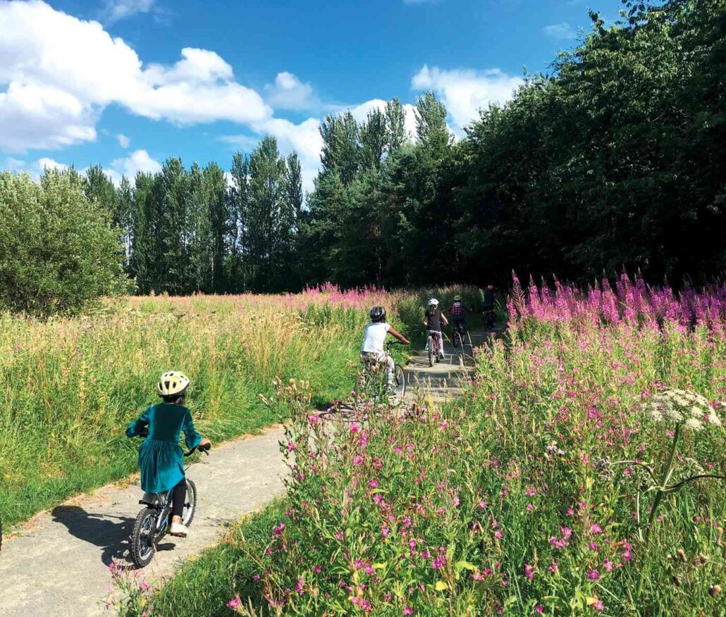 WEBINAR, Wed 10 July | Building with Nature – high quality green infrastructure for people and nature